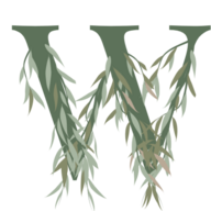 S_logo